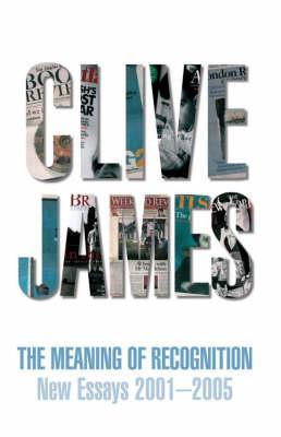 Meaning of Recognition: New Essays 2001 - 2005
