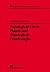 Topological Circle Planes and Topological Quadrangles (Chapman & Hall/CRC Research Notes in Mathematics Series)
