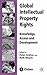 Global Intellectual Property Rights by Peter Drahos