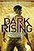 Dark Rising (Alex Hunter, #2)