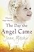 The Day the Angel Came. Jean Ritchie