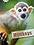 Monkeys