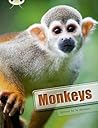 Monkeys