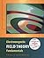 Electromagnetic Field Theory Fundamentals