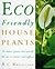 Eco Friendly House Plants