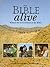 The Bible Alive: Witness the Great Events of the Bible