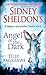 sidney sheldon ` s angel of the dark