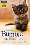 Bumble the Brave Kitten by Sam Hay