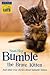 Bumble the Brave Kitten by Sam Hay