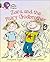 Zara and the Fairy Godbrother: Band 05 Green/Band 14 Ruby (Collins Big Cat Progress)