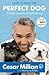 How to Raise the Perfect Dog by Cesar Millan