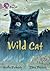 Wild Cat: Band 18/Pearl (Collins Big Cat)