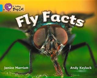 Fly Facts (Collins Big Cat)