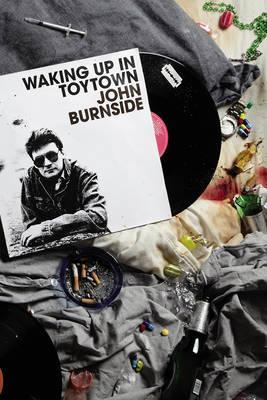 Waking Up in Toytown (Hardcover)