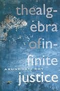 The Algebra of Infinite Justice