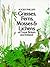Grasses, Ferns, Mosses & Lichens of Great Britain and Ireland