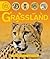 Grassland