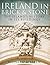 Ireland in Brick and Stone: The Island's History in Its Buildings