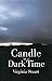 Candle in a Dark Time