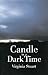 Candle in a Dark Time by Virginia Stuart
