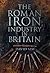 The Roman Iron Industry in Britain by David  Sim