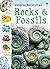 Rocks & Fossils
