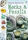 Rocks & Fossils by Struan Reid