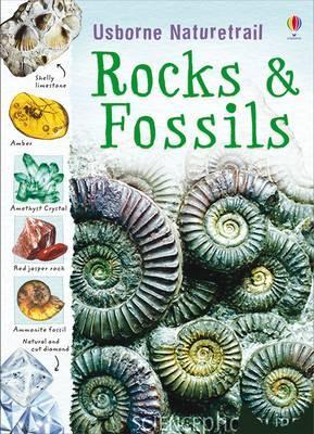 Rocks & Fossils (Paperback)