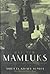 The New Mamluks: Egyptian S...