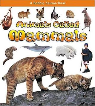 Animals Called Mammals (What Kind of Animal Is It?)