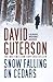 Snow Falling on Cedars by David Guterson