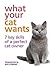 What Your Cat Wants