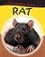 Rat