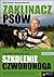 Zaklinacz psów. Podaj łapę, waruj, siad, czyli szkolenie czworonoga