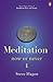 Meditation Now or Never by Steve Hagen