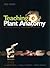 Teaching Plant Anatomy Through Creative Laboratory Exercises ... by R.L. Peterson