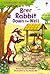 Brer Rabbit Down the Well (Usborne First Reading Level 2)