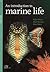 Introduction to Marine Life (Museum Victoria Field Guide)
