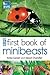 First Book of Minibeasts