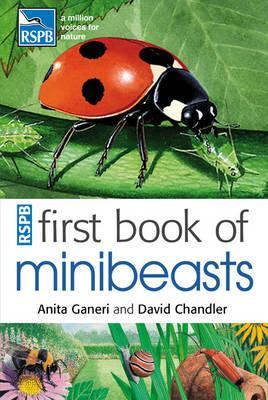 First Book of Minibeasts (Paperback)