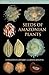 Seeds of Amazonian Plants (Princeton Field Guides)
