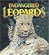 Endangered Leopards