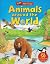 Animals Around the World by Deborah Chancellor