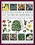The Illustrated Encyclopedia of Wild Flowers & Trees of North America: An Authoritative Guide to 650 Native and Introduced Speices of Flowers, Trees, Shrubs, Herbs and Grasses