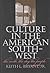 Culture in the American Sou...