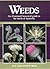 Weeds: An Illustrated Botanical Guide to the Weeds of Australia