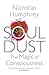 Soul Dust: The Magic of Consciousness