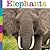 Elephants