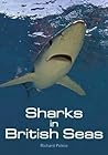 Sharks in British Seas by Richard Peirce