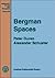 Bergman Spaces (Mathematical Surveys & Monographs)